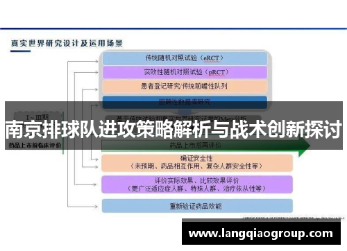 南京排球队进攻策略解析与战术创新探讨